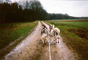 Bild 2 Galerie 2