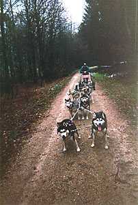 Bild 4 Galerie 2