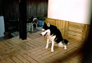 Bild 12 Galerie 11
