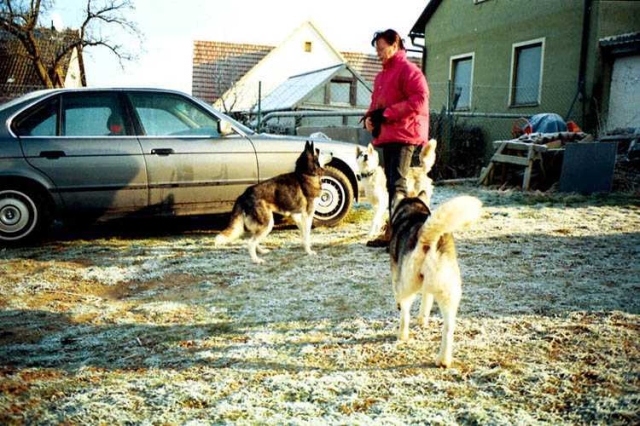 Gosses Bild 7 Galerie 12
