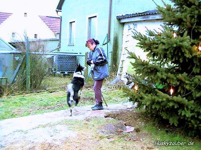 Gosses Bild 5 Galerie 17