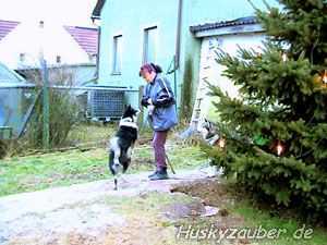 Direkt zu den Bildern