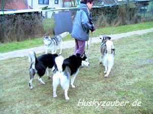 Bild 10 Galerie 17