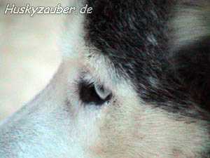 Bild 6 Galerie 21