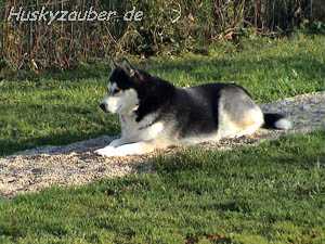 Bild 11 Galerie 21