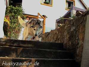 Bild 2 Galerie 22