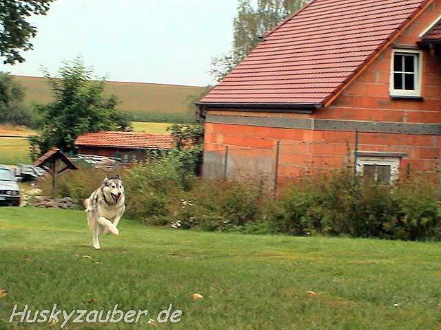 Gosses Bild 4 Galerie 22