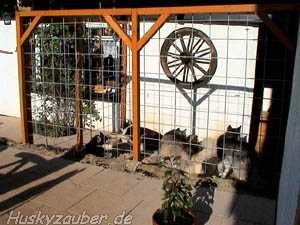 Bild 4 Galerie 23