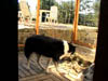 Bild 13