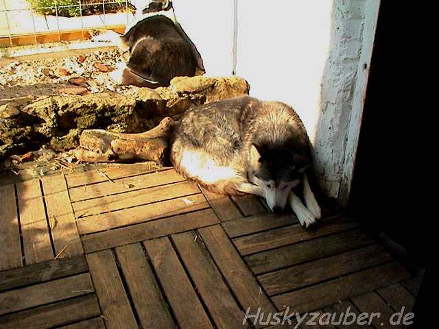Gosses Bild 15 Galerie 23