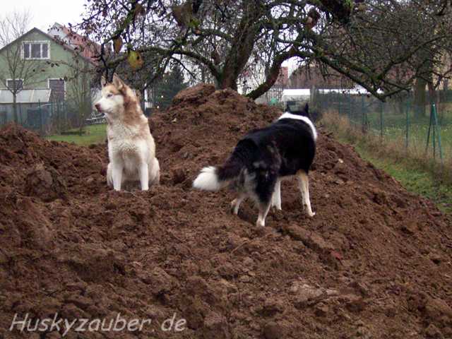 Gosses Bild 9 Galerie 25