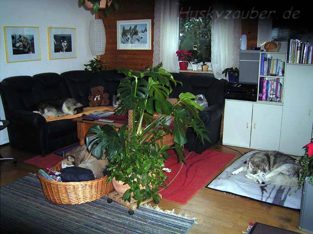 Gosses Bild 5 Galerie 33