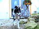 Bild 1 roxi