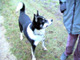 Bild 3 roxi