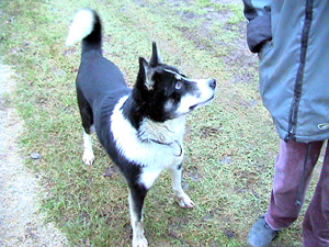 Bild3 Roxi