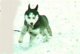 Bild 1 yuki