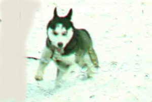 Bild1 Yuki