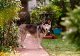 Bild 2 yuki
