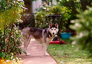 Bild2 Yuki
