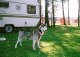 Bild 3 yuki