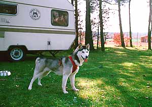 Bild3 Yuki